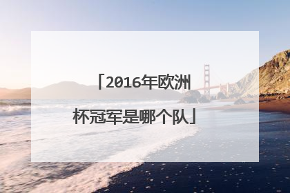 2016年欧洲杯冠军是哪个队