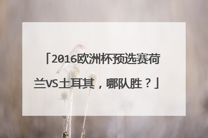 2016欧洲杯预选赛荷兰VS土耳其，哪队胜？