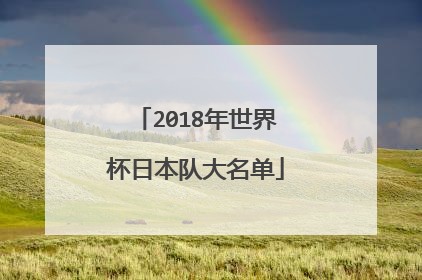 2018年世界杯日本队大名单