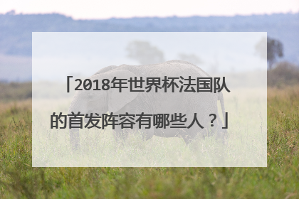 2018年世界杯法国队的首发阵容有哪些人?