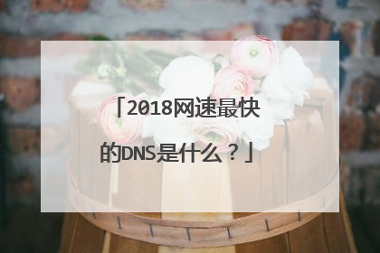 2018网速最快的DNS是什么？