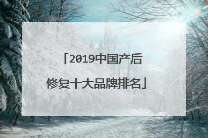 2019中国产后修复十大品牌排名