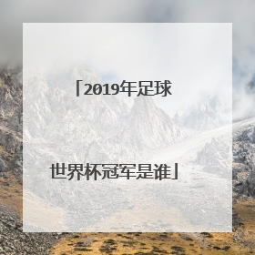 2019年足球世界杯冠军是谁