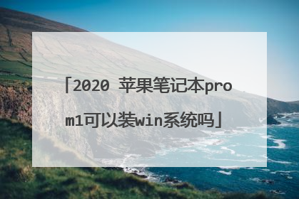 2020 苹果笔记本pro m1可以装win系统吗