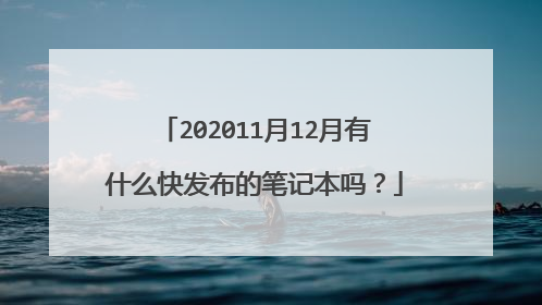 202011月12月有什么快发布的笔记本吗?