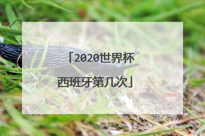 2020世界杯西班牙第几次