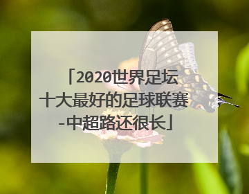 2020世界足坛十大最好的足球联赛-中超路还很长