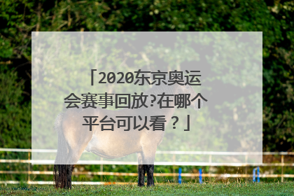 2020东京奥运会赛事回放?在哪个平台可以看?