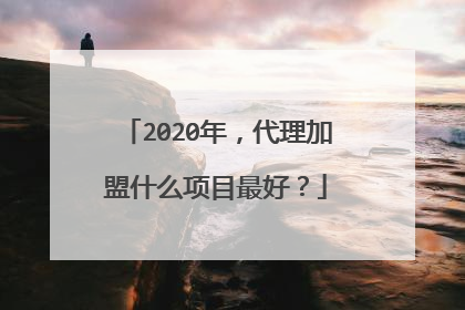 2020年,代理加盟什么项目最好?