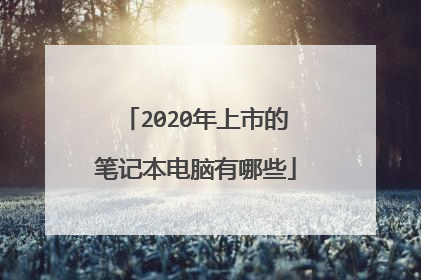 2020年上市的笔记本电脑有哪些