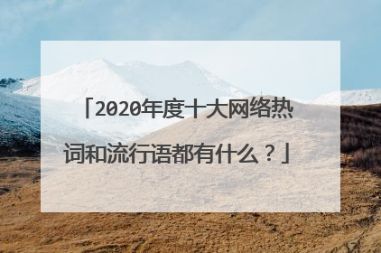2020年度十大网络热词和流行语都有什么？