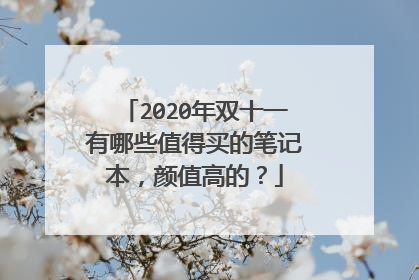 2020年双十一有哪些值得买的笔记本,颜值高的?