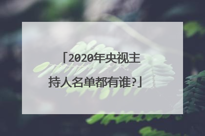 2020年央视主持人名单都有谁?