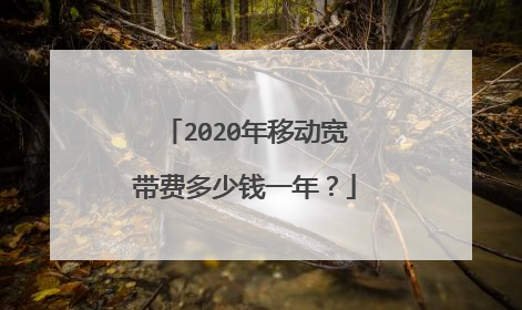 2020年移动宽带费多少钱一年？