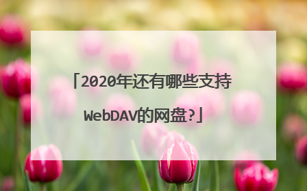 2020年还有哪些支持WebDAV的网盘?