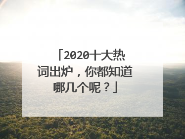 2020十大热词出炉，你都知道哪几个呢？