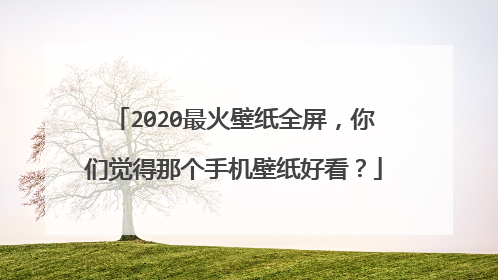 2020最火壁纸全屏,你们觉得那个手机壁纸好看?