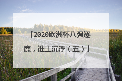 2020欧洲杯八强逐鹿，谁主沉浮（五）