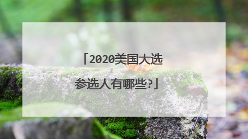 2020美国大选参选人有哪些?