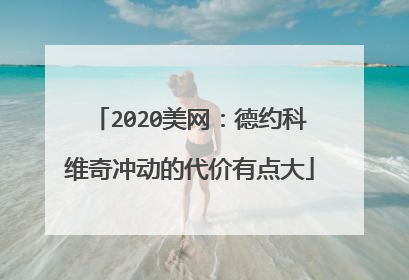 2020美网：德约科维奇冲动的代价有点大