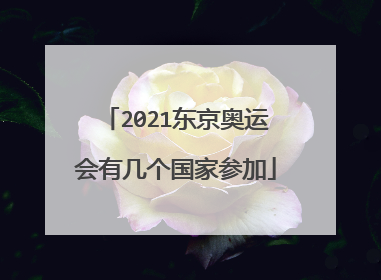 2021东京奥运会有几个国家参加
