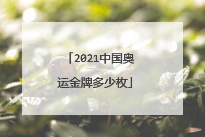 2021中国奥运金牌多少枚