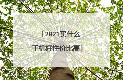 2021买什么手机好性价比高