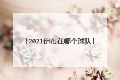 2021伊布在哪个球队