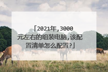 2021年,3000元左右的组装电脑,该配置清单怎么配置?