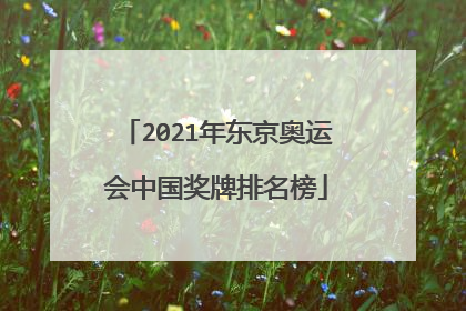 2021年东京奥运会中国奖牌排名榜