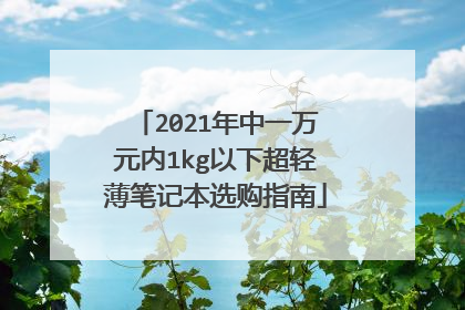 2021年中一万元内1kg以下超轻薄笔记本选购指南