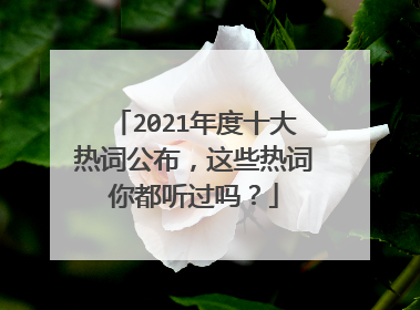 2021年度十大热词公布，这些热词你都听过吗？