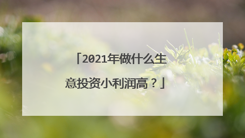 2021年做什么生意投资小利润高?