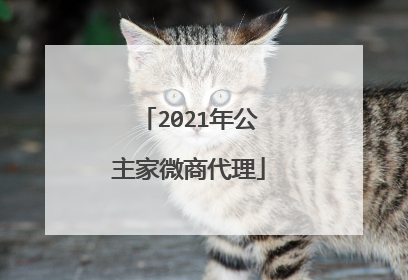 2021年公主家微商代理