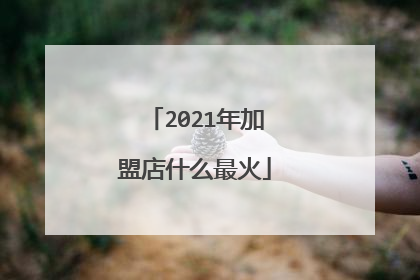 2021年加盟店什么最火