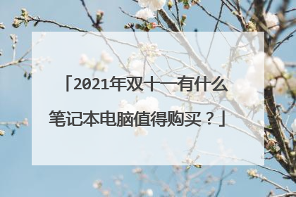 2021年双十一有什么笔记本电脑值得购买？