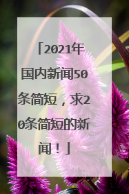 2021年国内新闻50条简短,求20条简短的新闻!