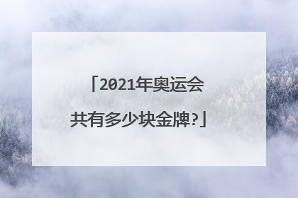 2021年奥运会共有多少块金牌?