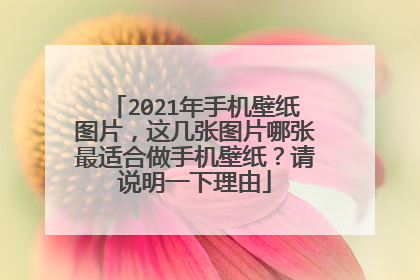 2021年手机壁纸图片,这几张图片哪张最适合做手机壁纸?请说明一下理由