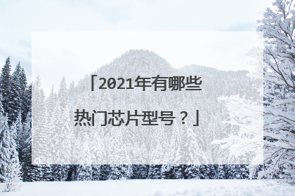 2021年有哪些热门芯片型号?