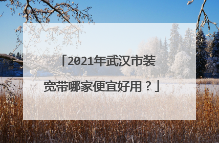 2021年武汉市装宽带哪家便宜好用?