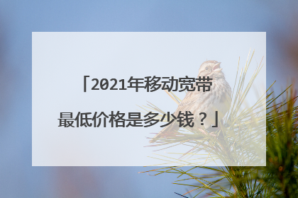 2021年移动宽带最低价格是多少钱?