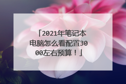 2021年笔记本电脑怎么看配置3000左右预算!