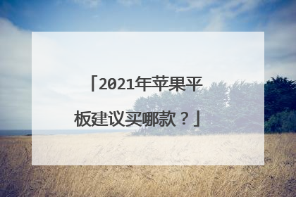 2021年苹果平板建议买哪款?