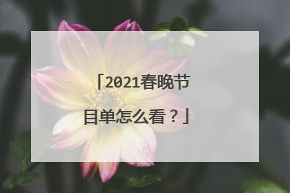2021春晚节目单怎么看?