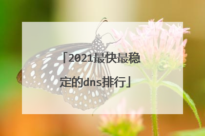 2021最快最稳定的dns排行