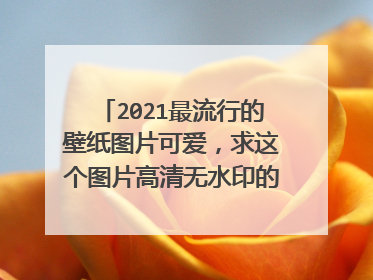 2021最流行的壁纸图片可爱，求这个图片高清无水印的要做手机壁纸？