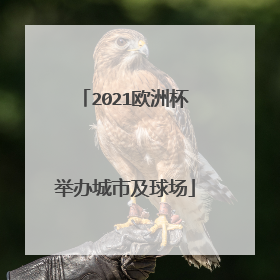 2021欧洲杯举办城市及球场