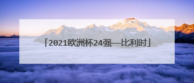 2021欧洲杯24强——比利时