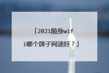 2021随身wifi哪个牌子网速好？